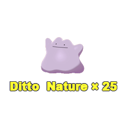 Ditto Bundle(25)