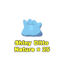 Ditto Bundle(25)