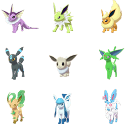 Eevee Bundle(8)