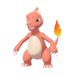 #005 Charmeleon