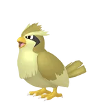 #0016 Pidgey Shiny 6IV Hidden Ability In-game Trade Pokopia Items