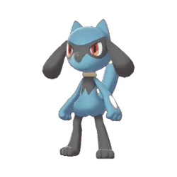 #0447 Riolu Legit Battle Ready 6IVs In-game Delivery PLA Custom
