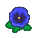 Blue Pansies(10)
