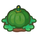 Green-Pumpkin Plant
