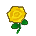 Yellow Roses(10)