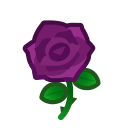 Purple Roses(10)