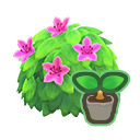 Pink-Azalea Start(10)