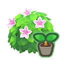 White-Azalea Start(10)