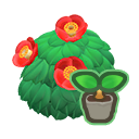 Red-Camellia Start(10)