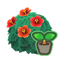 Red-Hibiscus Start(10)