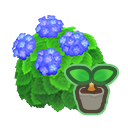 Blue-Hydrangea Start(10)
