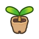 Sapling(10)