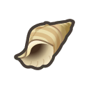 Conch(10)