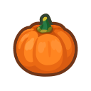 Orange Pumpkin(10)