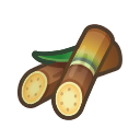 Sugarcane(10)