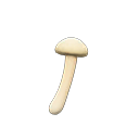 White Mushroom