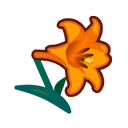 Orange Lilies(10)