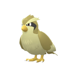 #0016 Pidgey