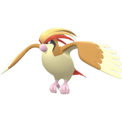 #0018 Pidgeot