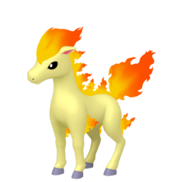 #0077 Ponyta