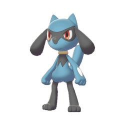 #0447 Riolu