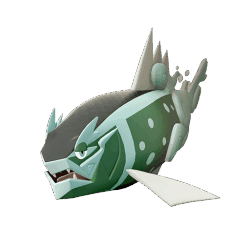 #0902 Basculegion Female