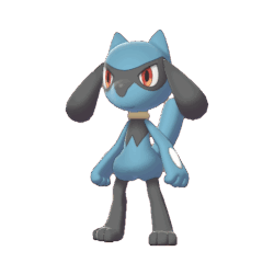#0447 Riolu