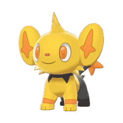 #0403 Shinx