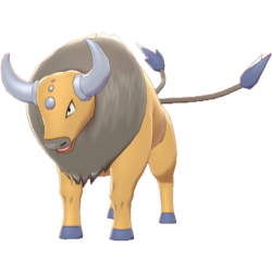 #0128 Tauros