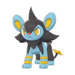 #0404 Luxio