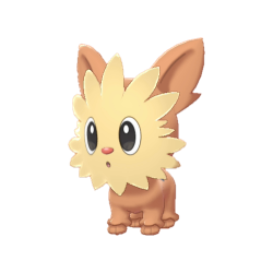 #0506 Lillipup