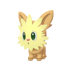 #0506 Lillipup