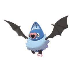 #0528 Swoobat