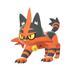 #0726 Torracat