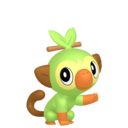 #0810 Grookey