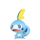 #0816 Sobble