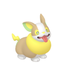 #0835 Yamper