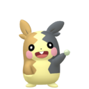 #0877 Morpeko