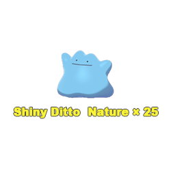 Ditto Bundle