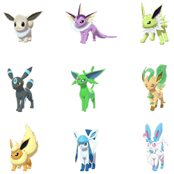 Eevee Bundle